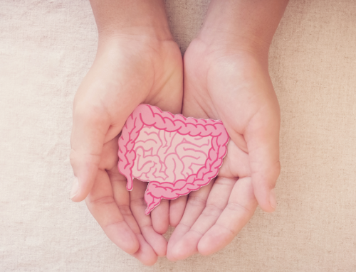 Your gut is the best weight loss coach